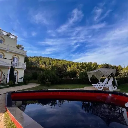 Dy Bukurite * Dıraç